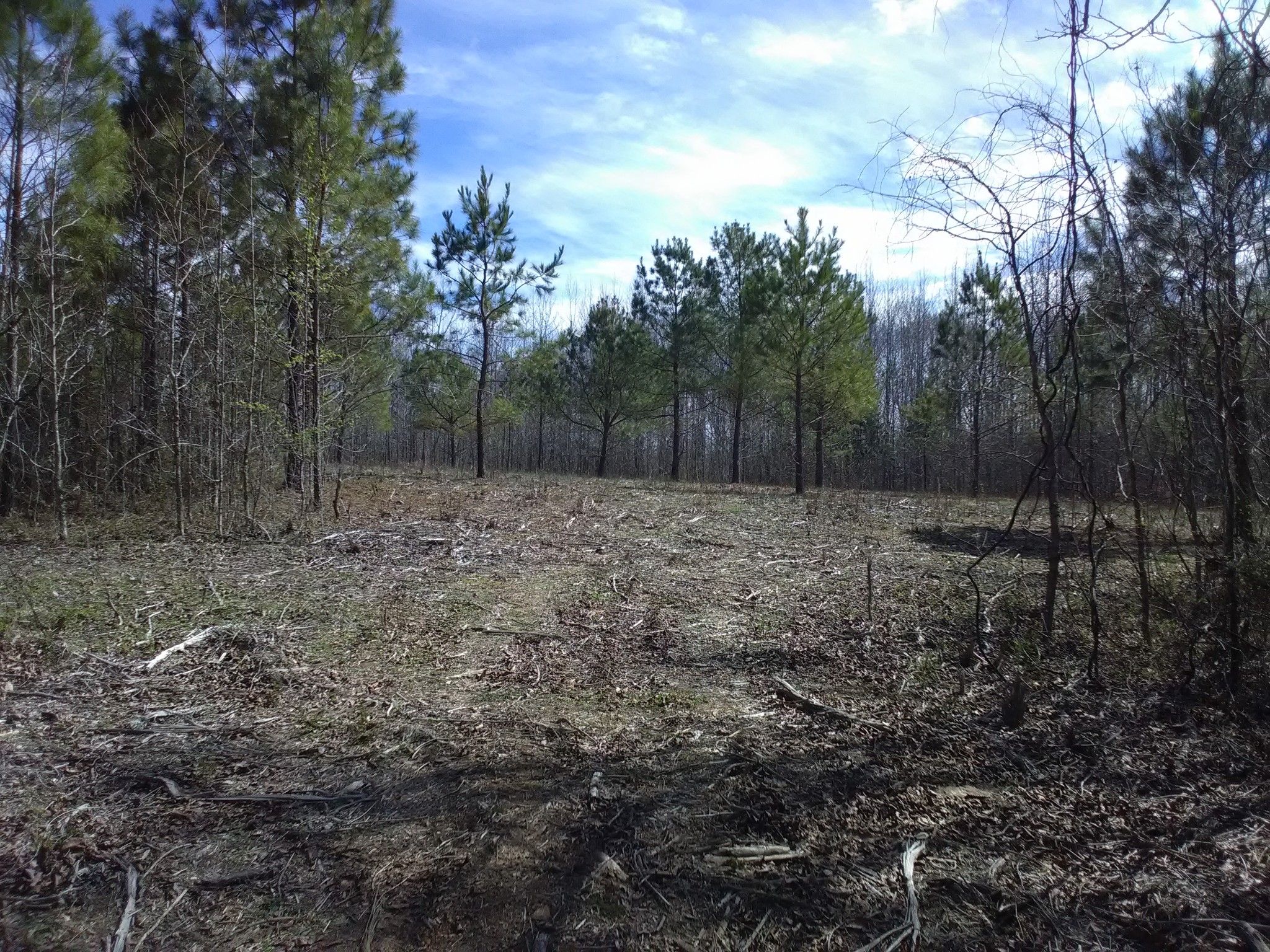 0 Davis Hollow Road Minor Hill TN 38473