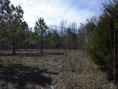 0 Davis Hollow Road Minor Hill TN 38473