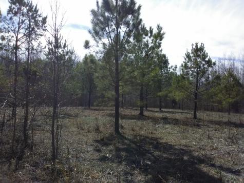 0 Davis Hollow Road Minor Hill TN 38473