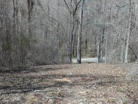 0 Davis Hollow Road Minor Hill TN 38473