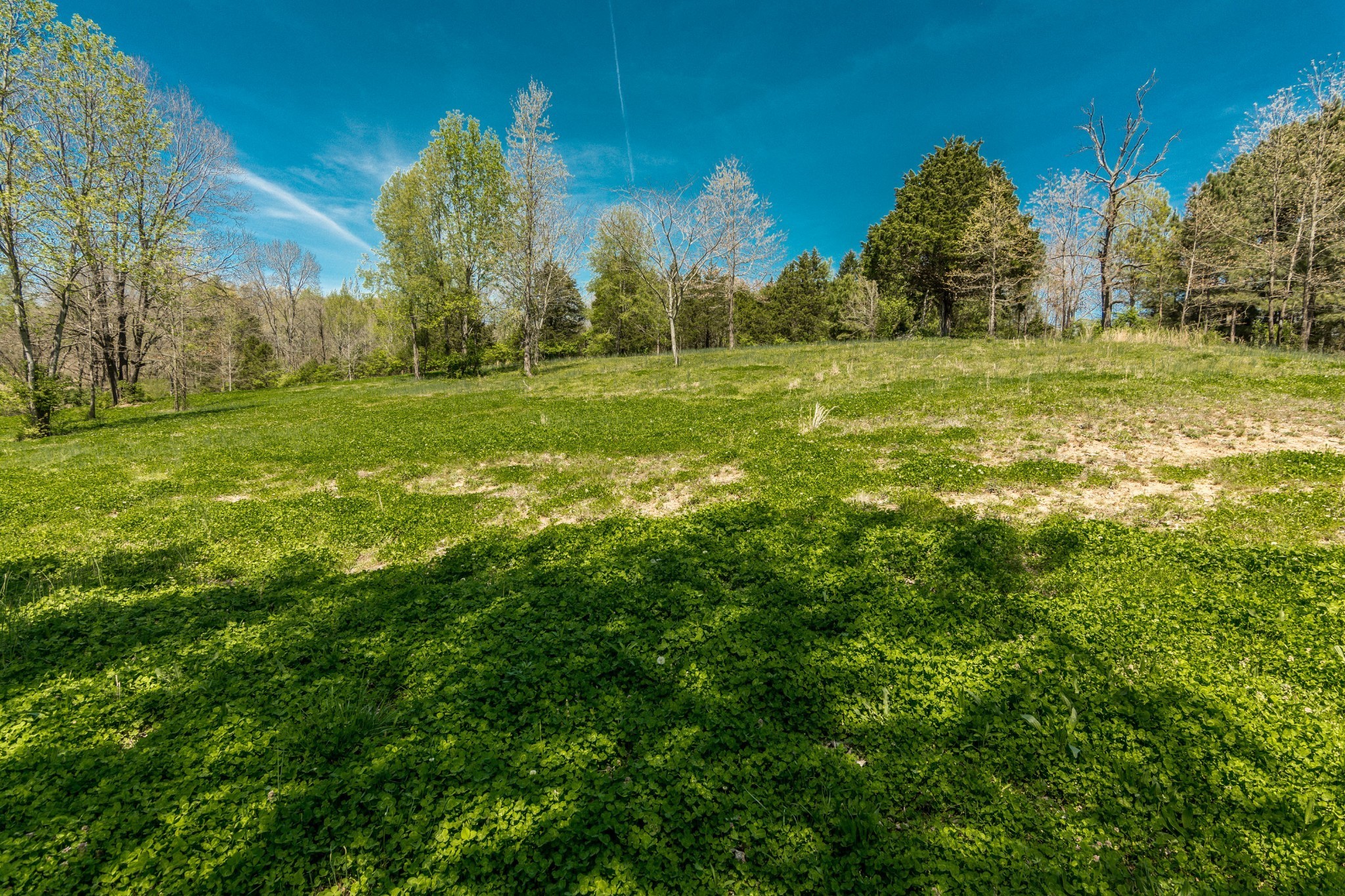 2590 Couchville Pike Nashville TN 37217
