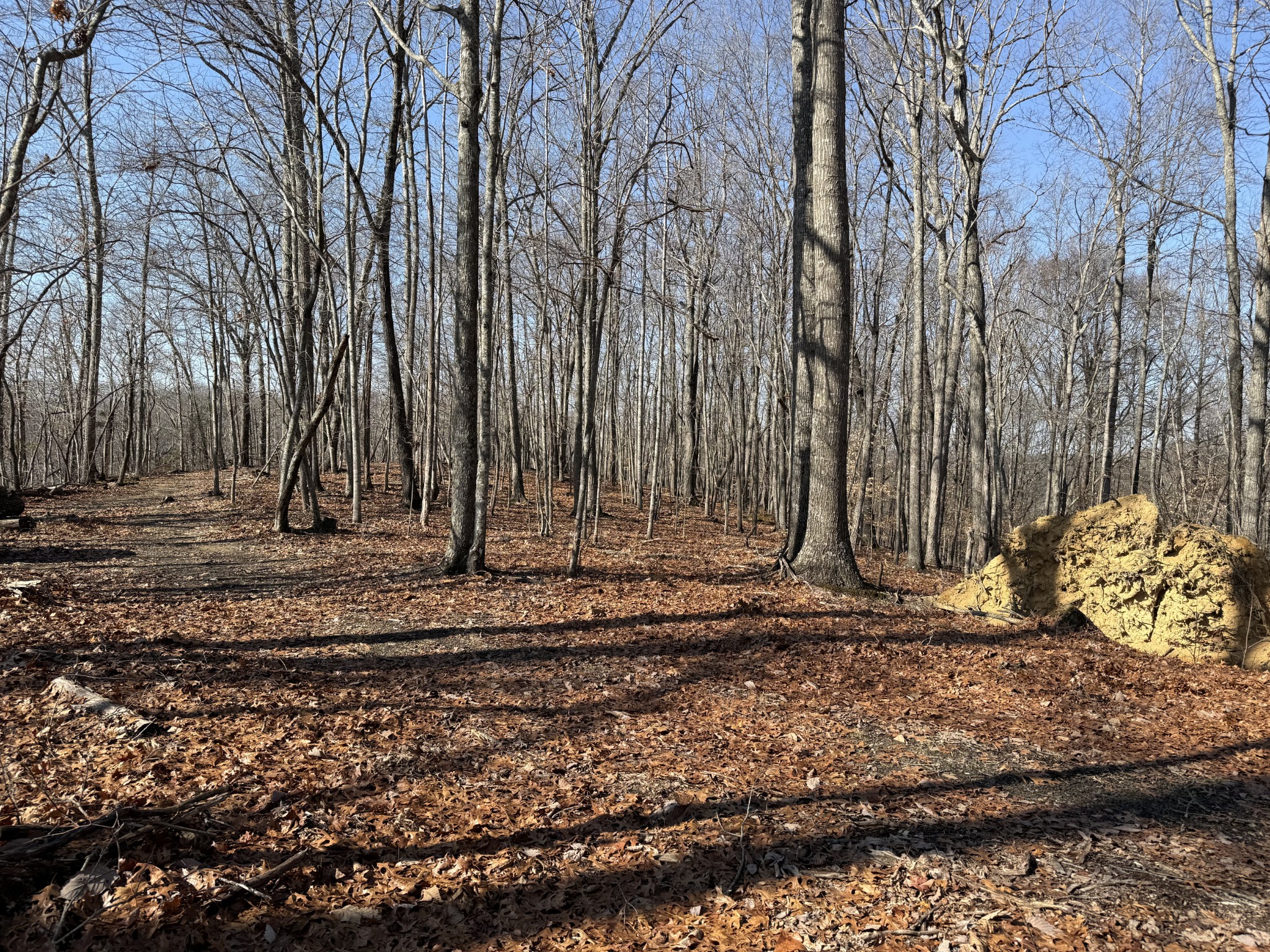 0 Spence Lane Hilham TN 38568