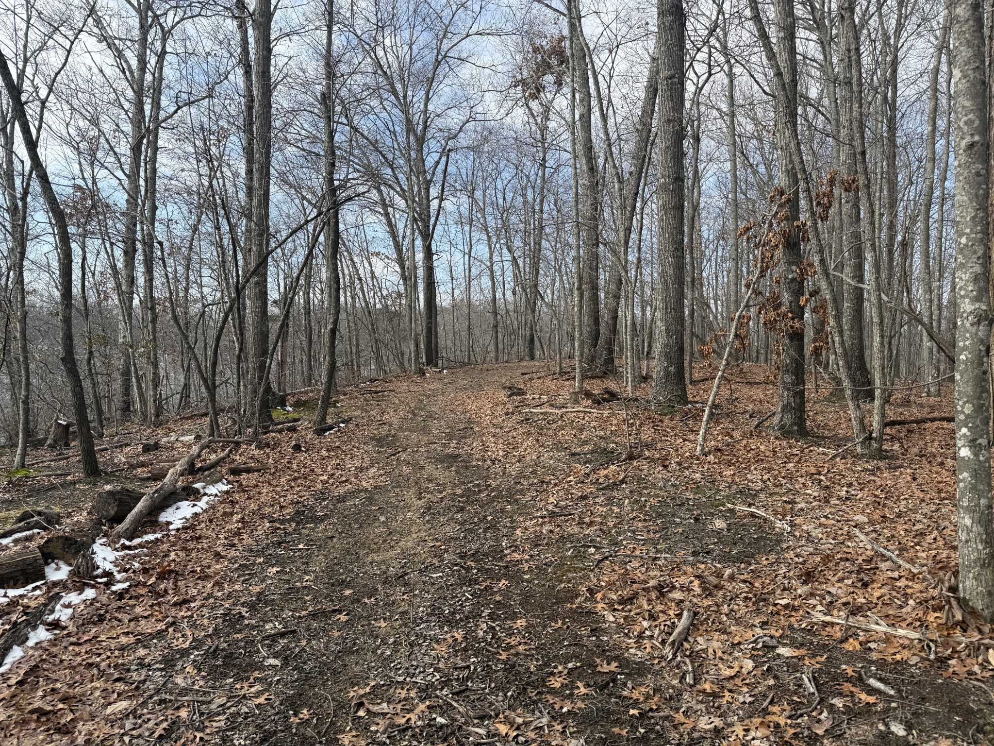 0 Spence Lane Hilham TN 38568