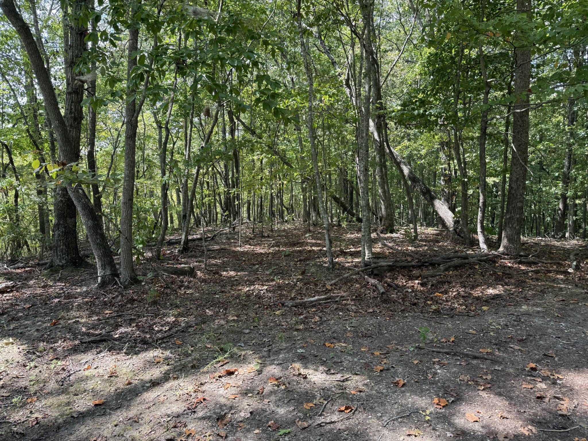 0 Spence Lane Hilham TN 38568
