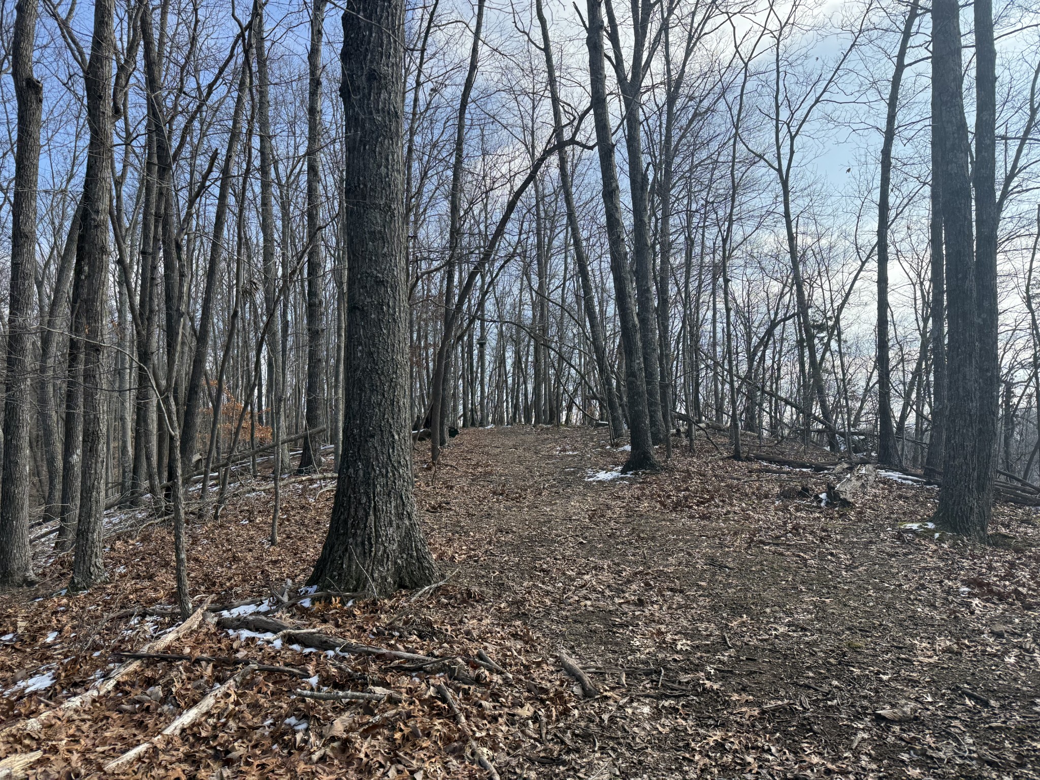 0 Spence Lane Hilham TN 38568