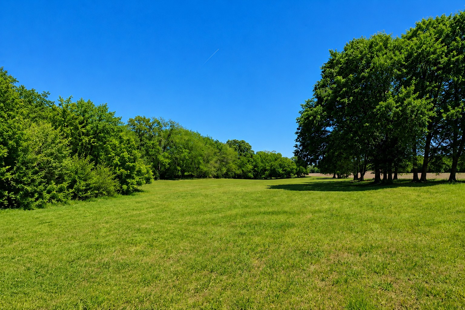 4628 Hwy 31w Cottontown TN 37048