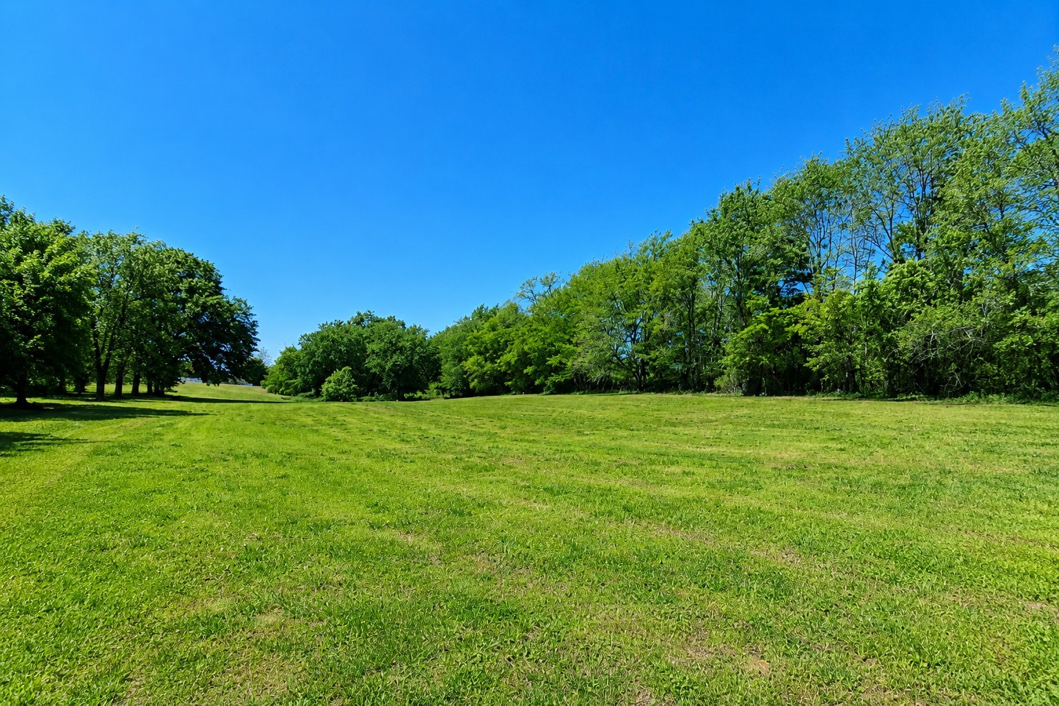 4628 Hwy 31w Cottontown TN 37048