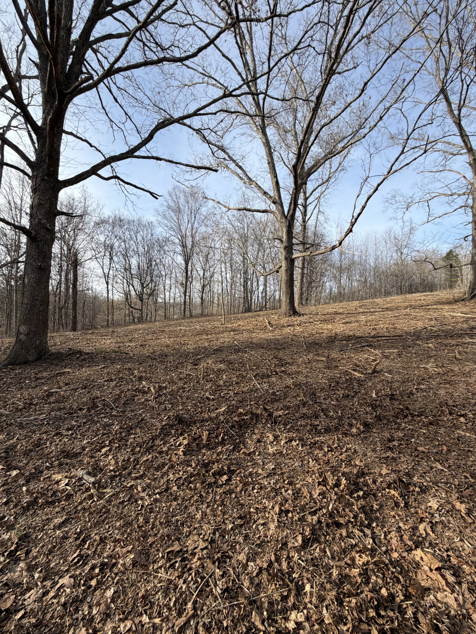 0 Macon Wall Road Ashland City TN 37015