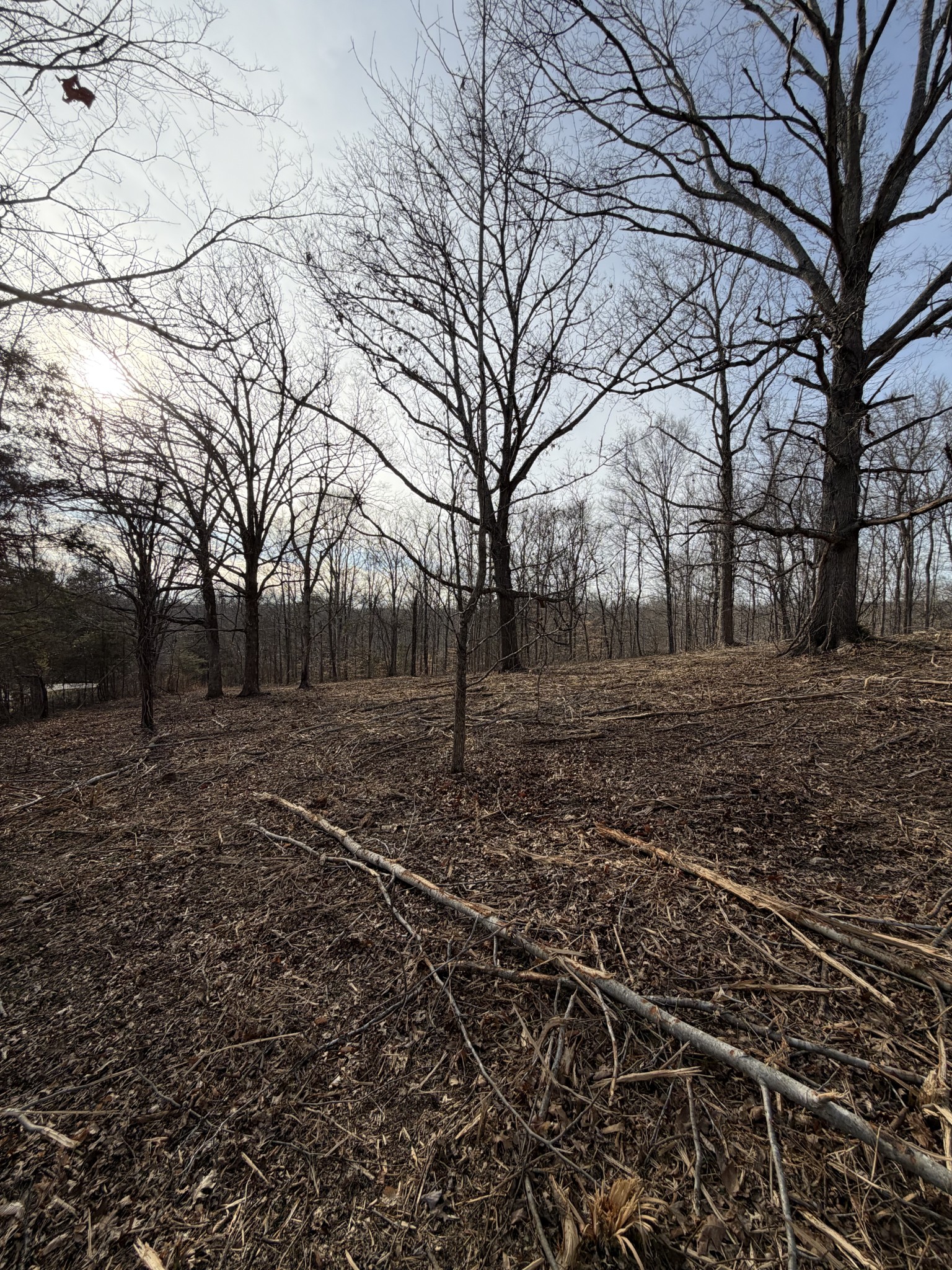 0 Macon Wall Road Ashland City TN 37015