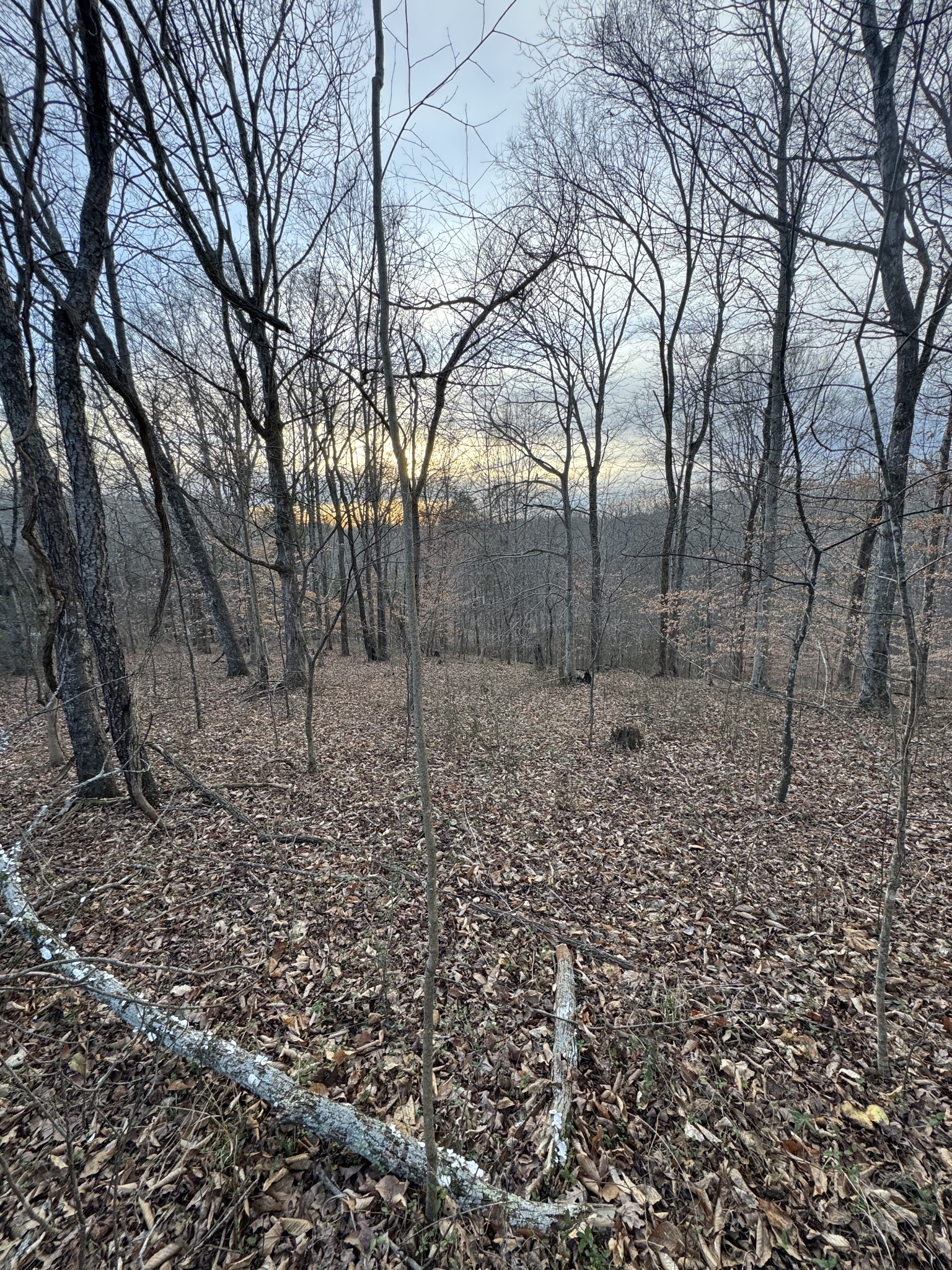 0 Macon Wall Road Ashland City TN 37015