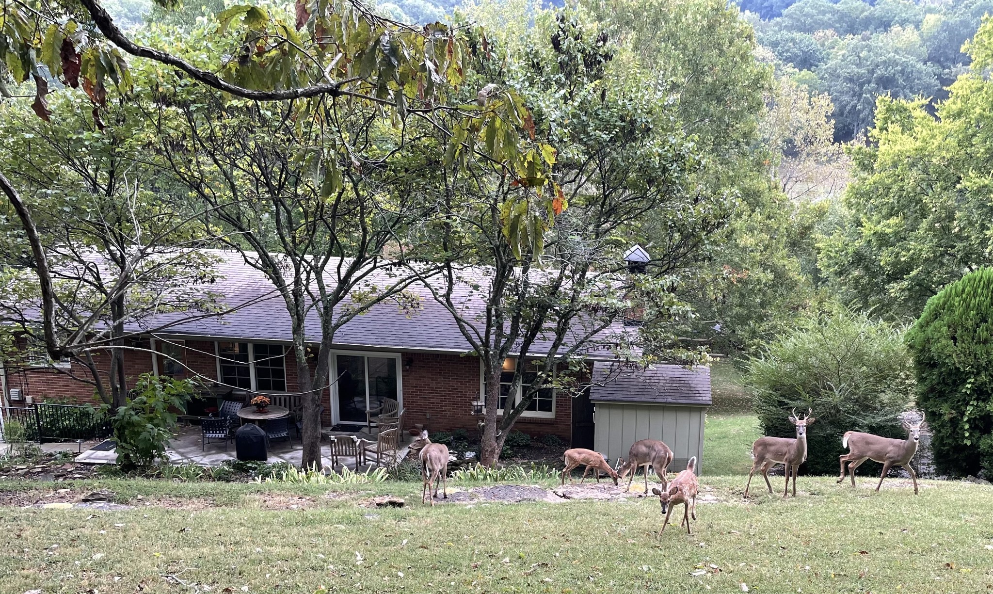 815 Rodney Drive Nashville TN 37205