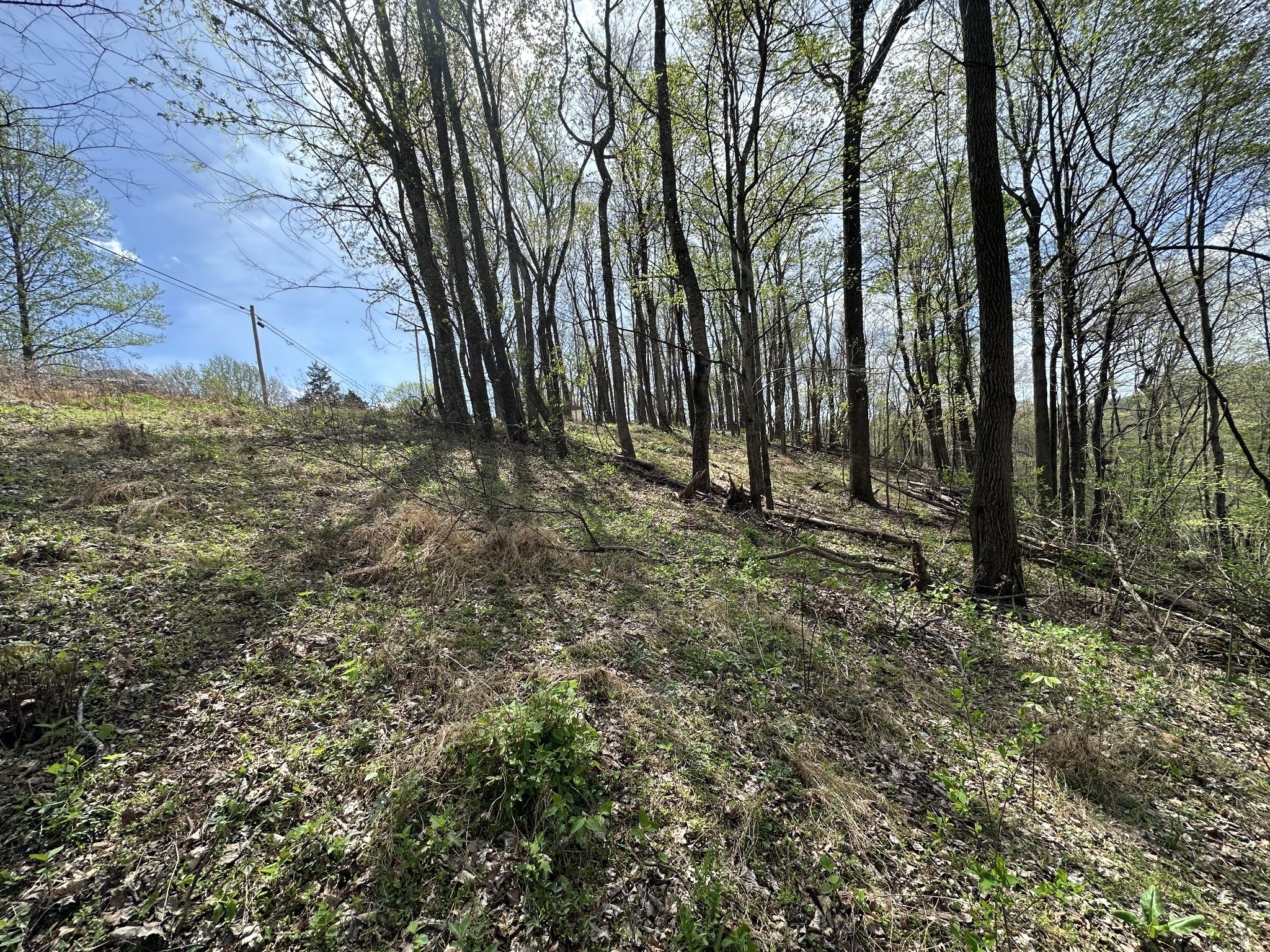 0 Maggart Road Elmwood TN 38560