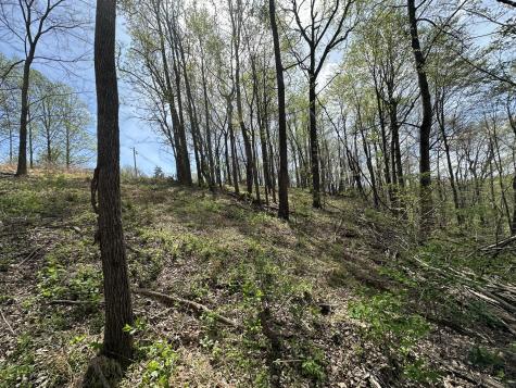 0 Maggart Road Elmwood TN 38560