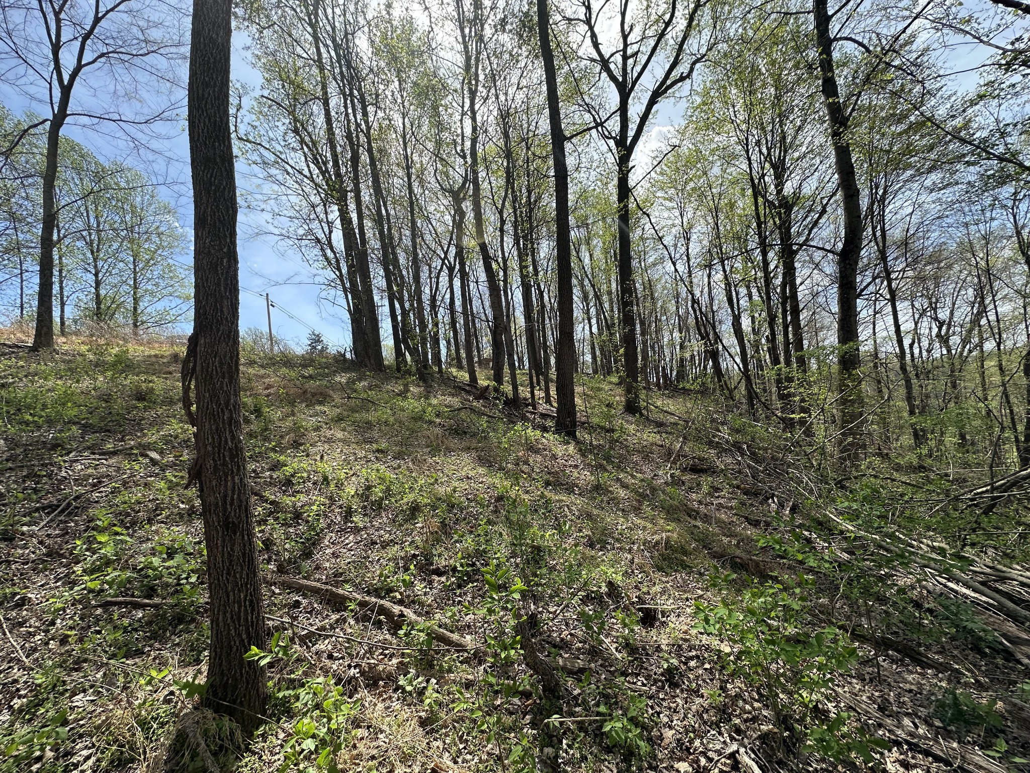 0 Maggart Road Elmwood TN 38560