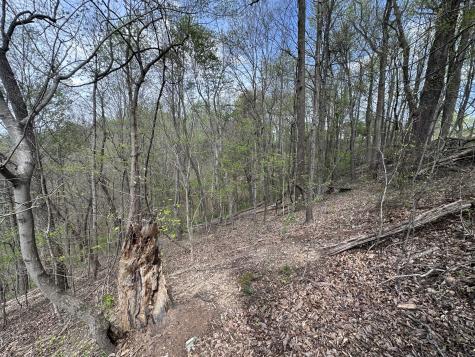 0 Maggart Road Elmwood TN 38560