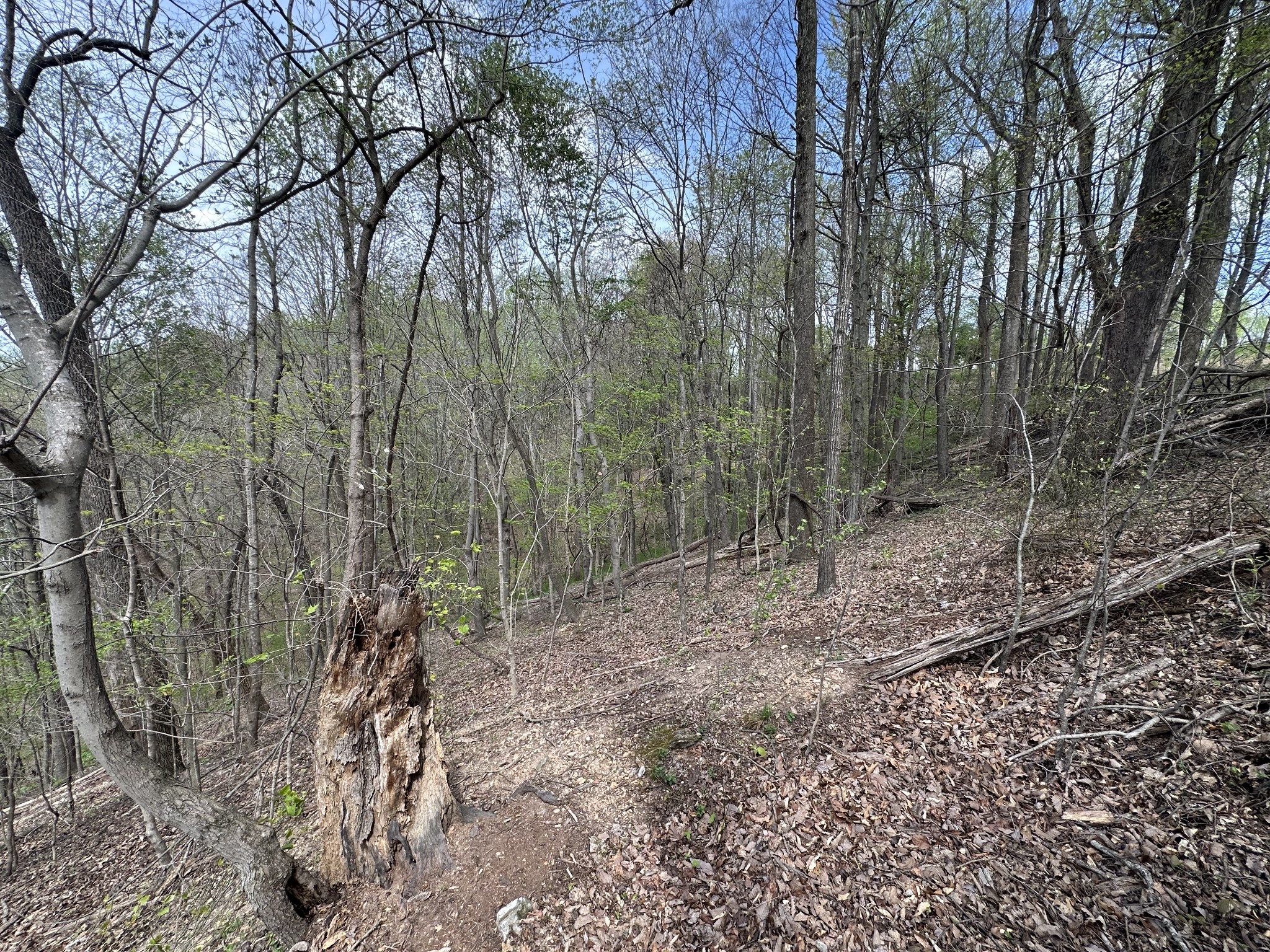 0 Maggart Road Elmwood TN 38560