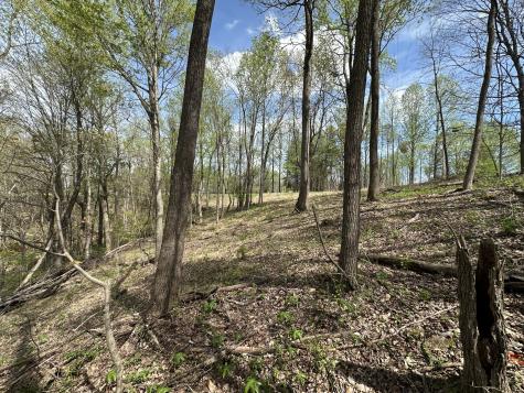 0 Maggart Road Elmwood TN 38560