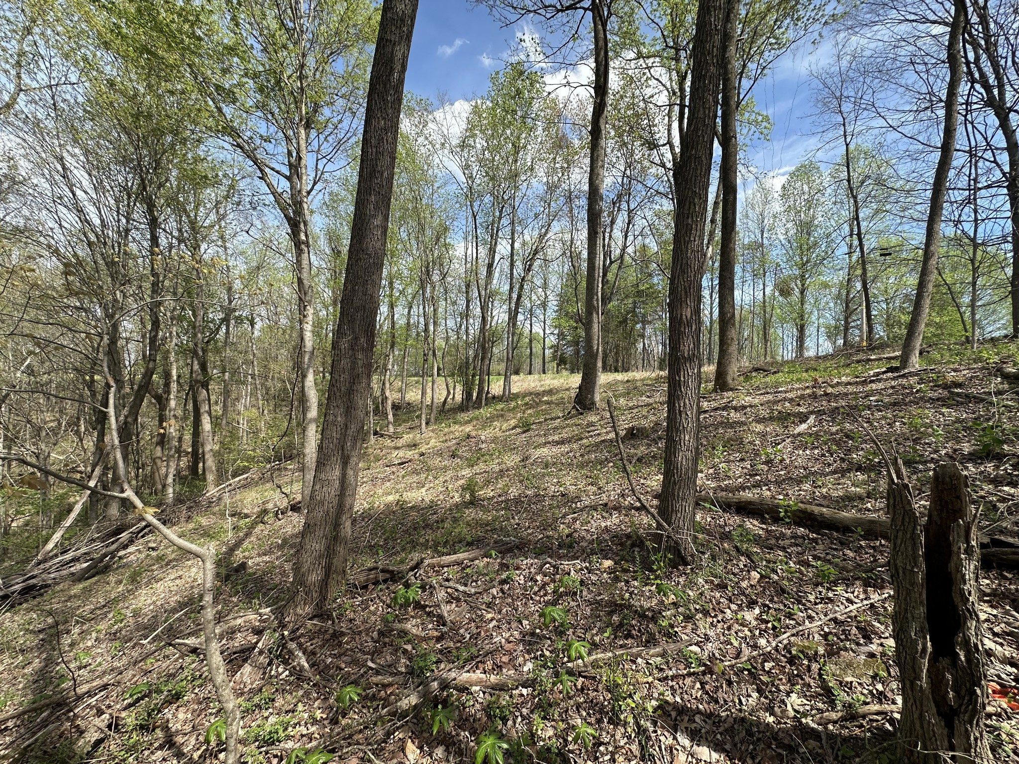 0 Maggart Road Elmwood TN 38560