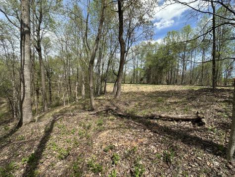 0 Maggart Road Elmwood TN 38560