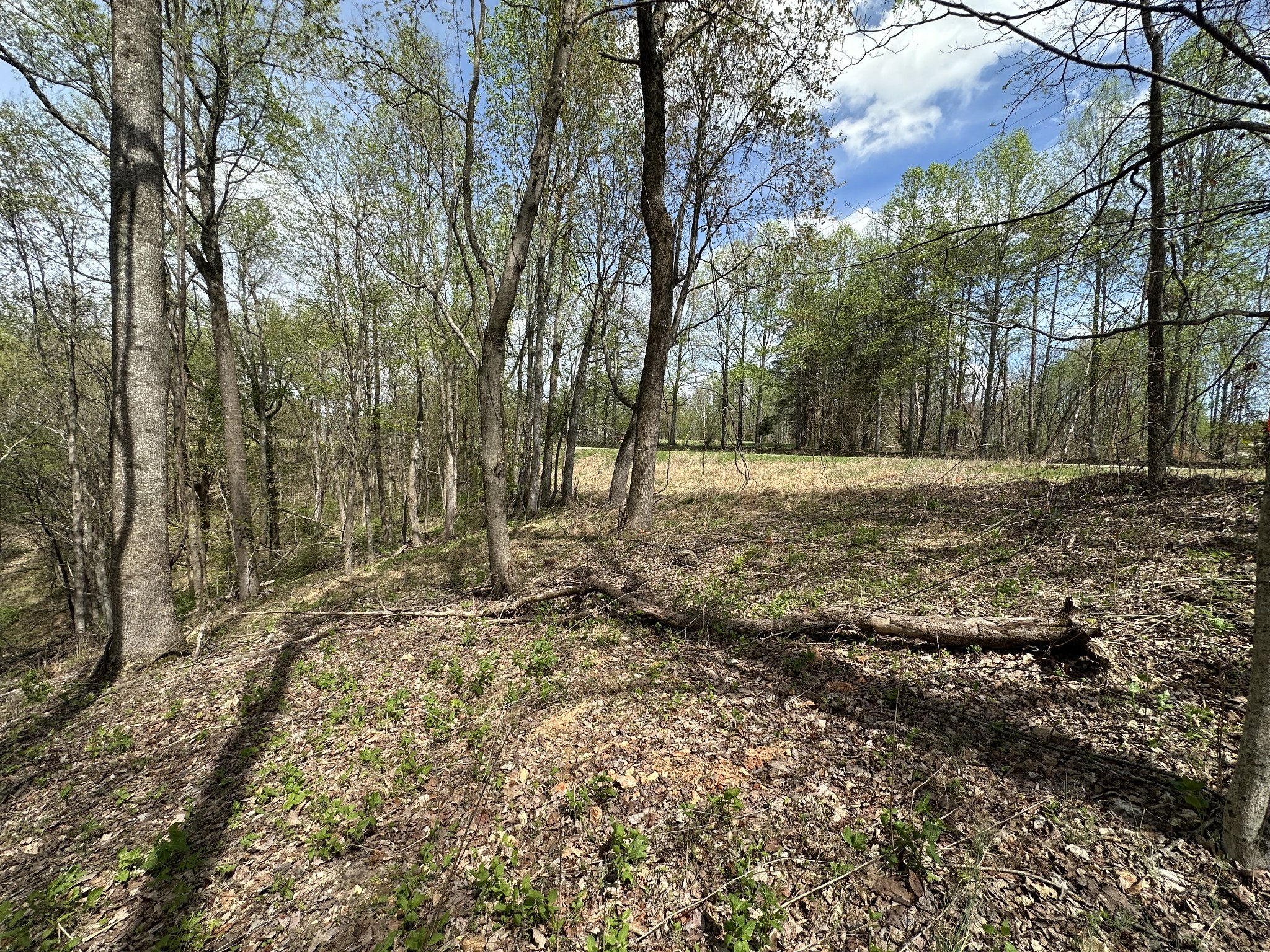 0 Maggart Road Elmwood TN 38560