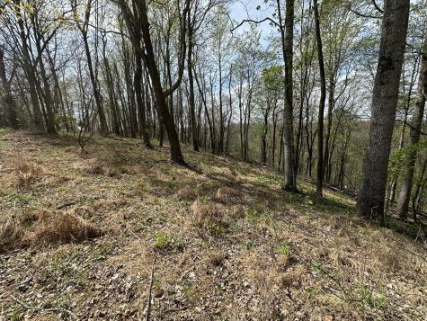 0 Maggart Road Elmwood TN 38560