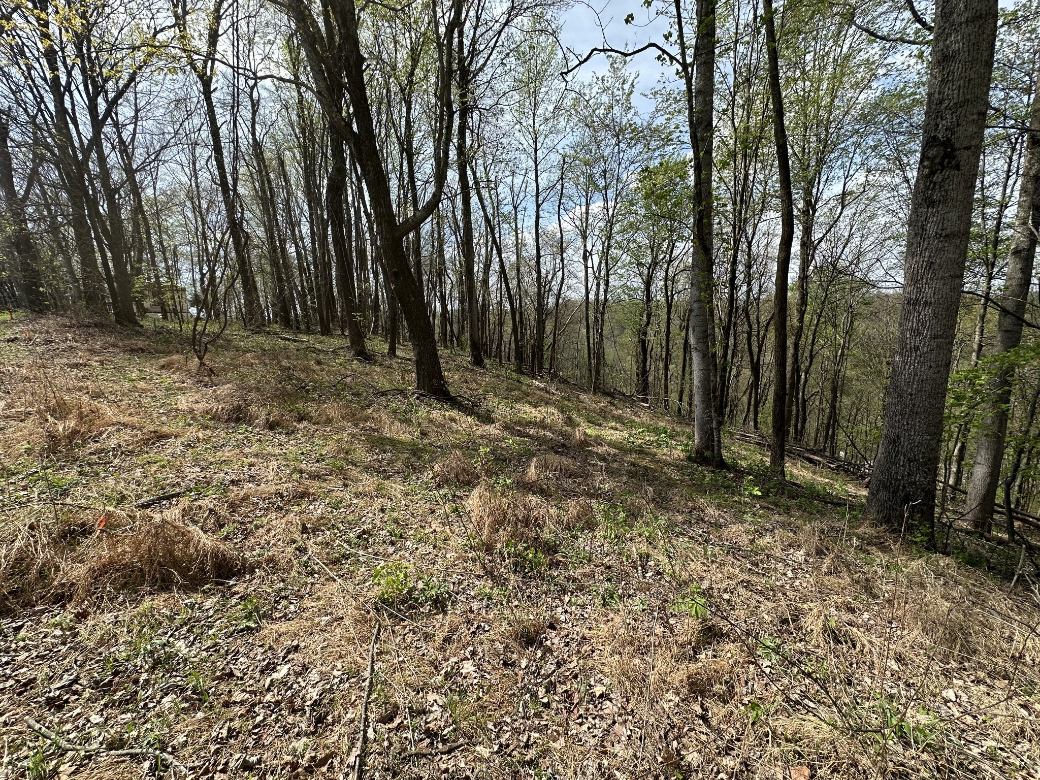 0 Maggart Road Elmwood TN 38560