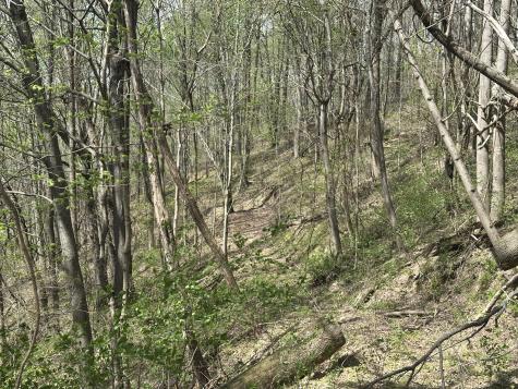 0 Maggart Road Elmwood TN 38560
