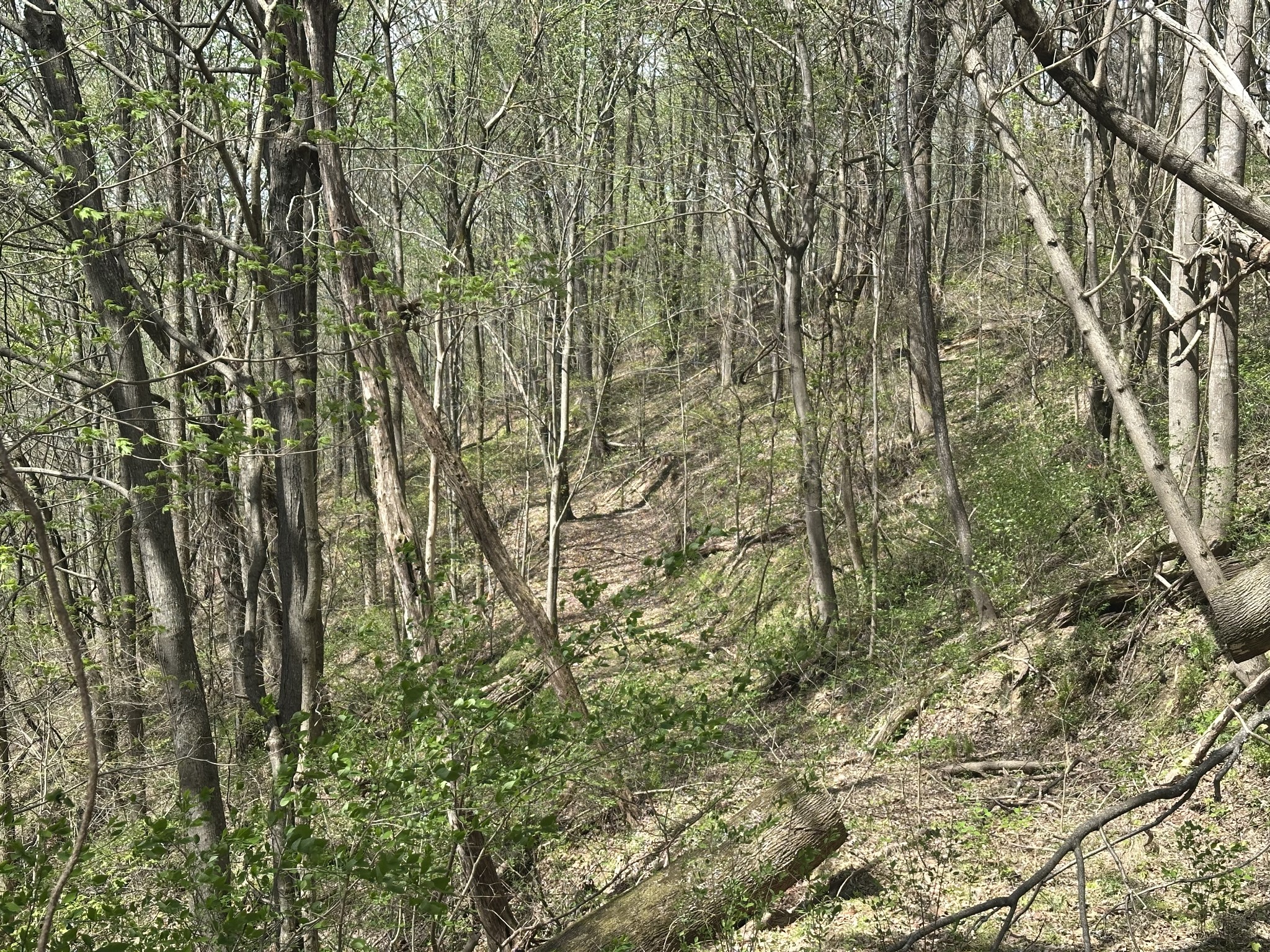 0 Maggart Road Elmwood TN 38560