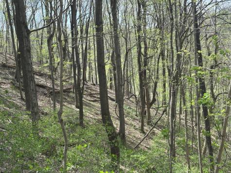 0 Maggart Road Elmwood TN 38560
