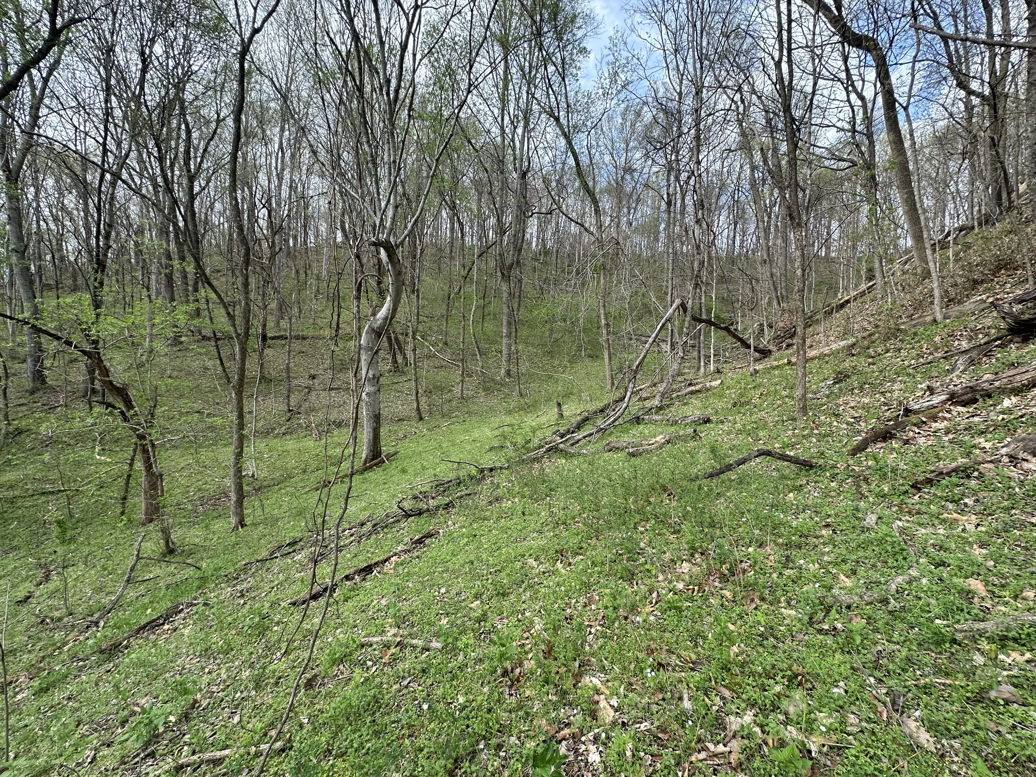 0 Maggart Road Elmwood TN 38560