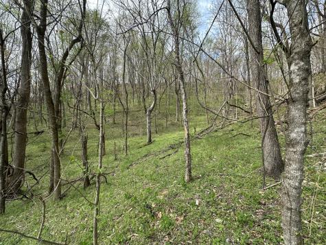 0 Maggart Road Elmwood TN 38560