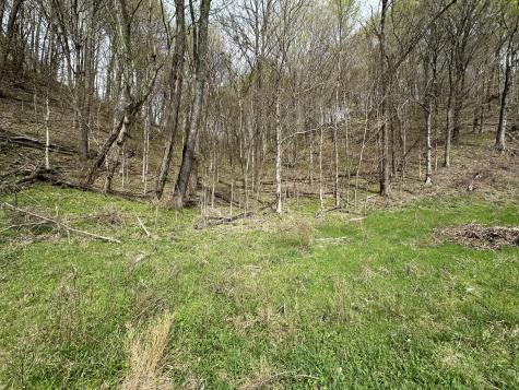 0 Maggart Road Elmwood TN 38560