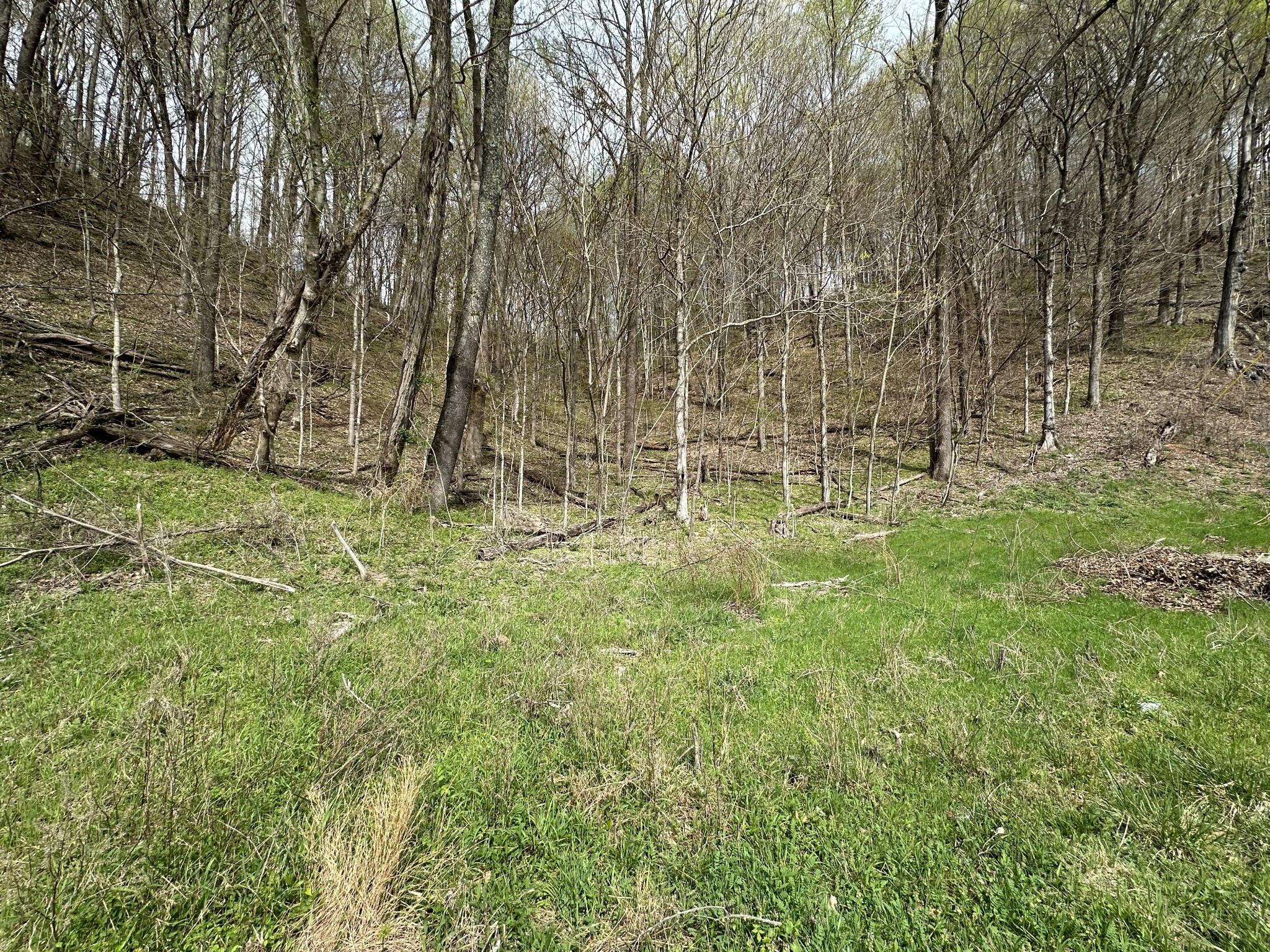 0 Maggart Road Elmwood TN 38560