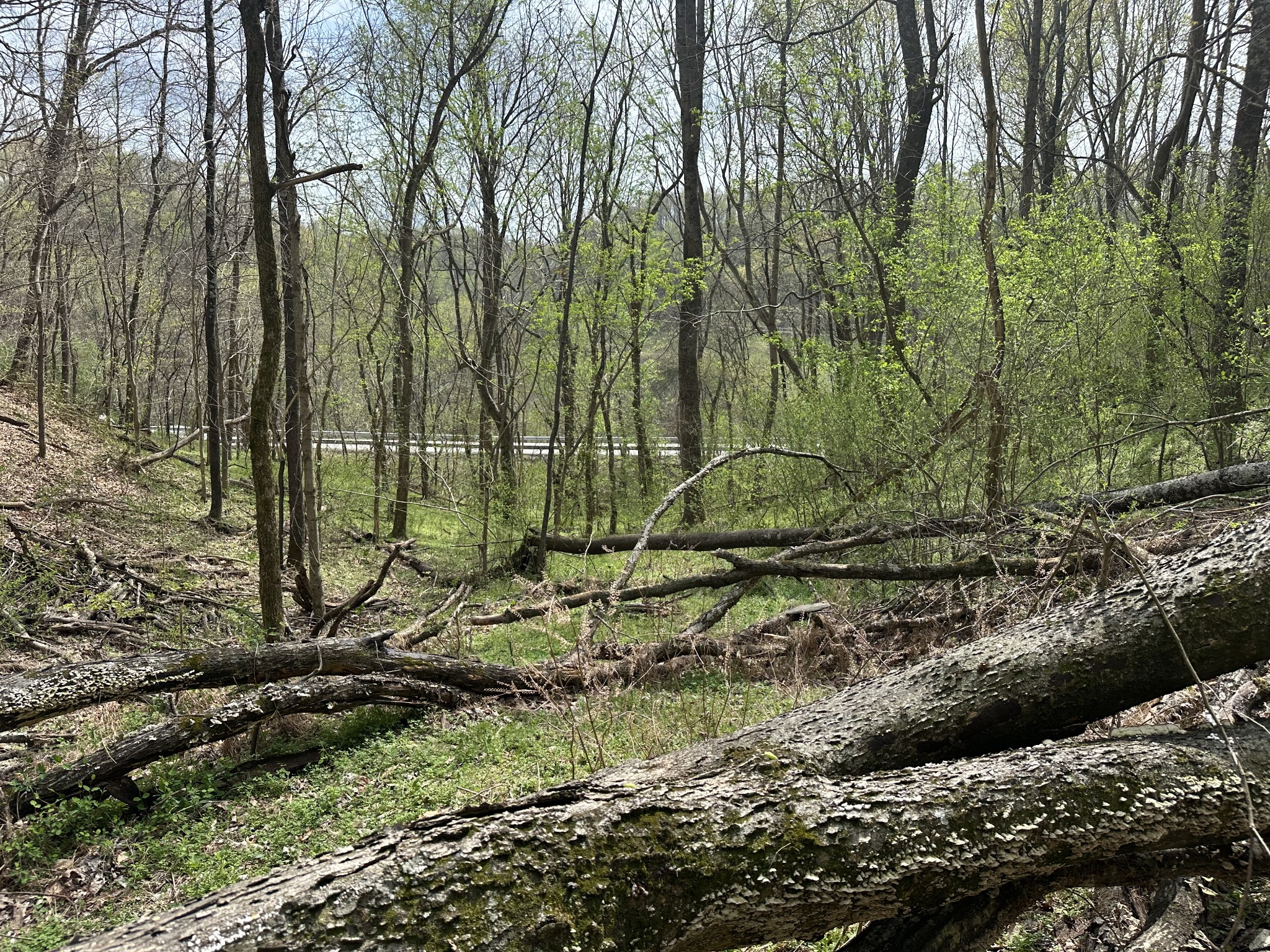 0 Maggart Road Elmwood TN 38560