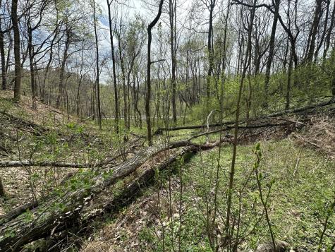 0 Maggart Road Elmwood TN 38560