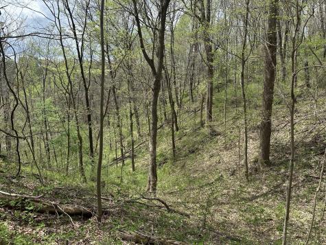 0 Maggart Road Elmwood TN 38560