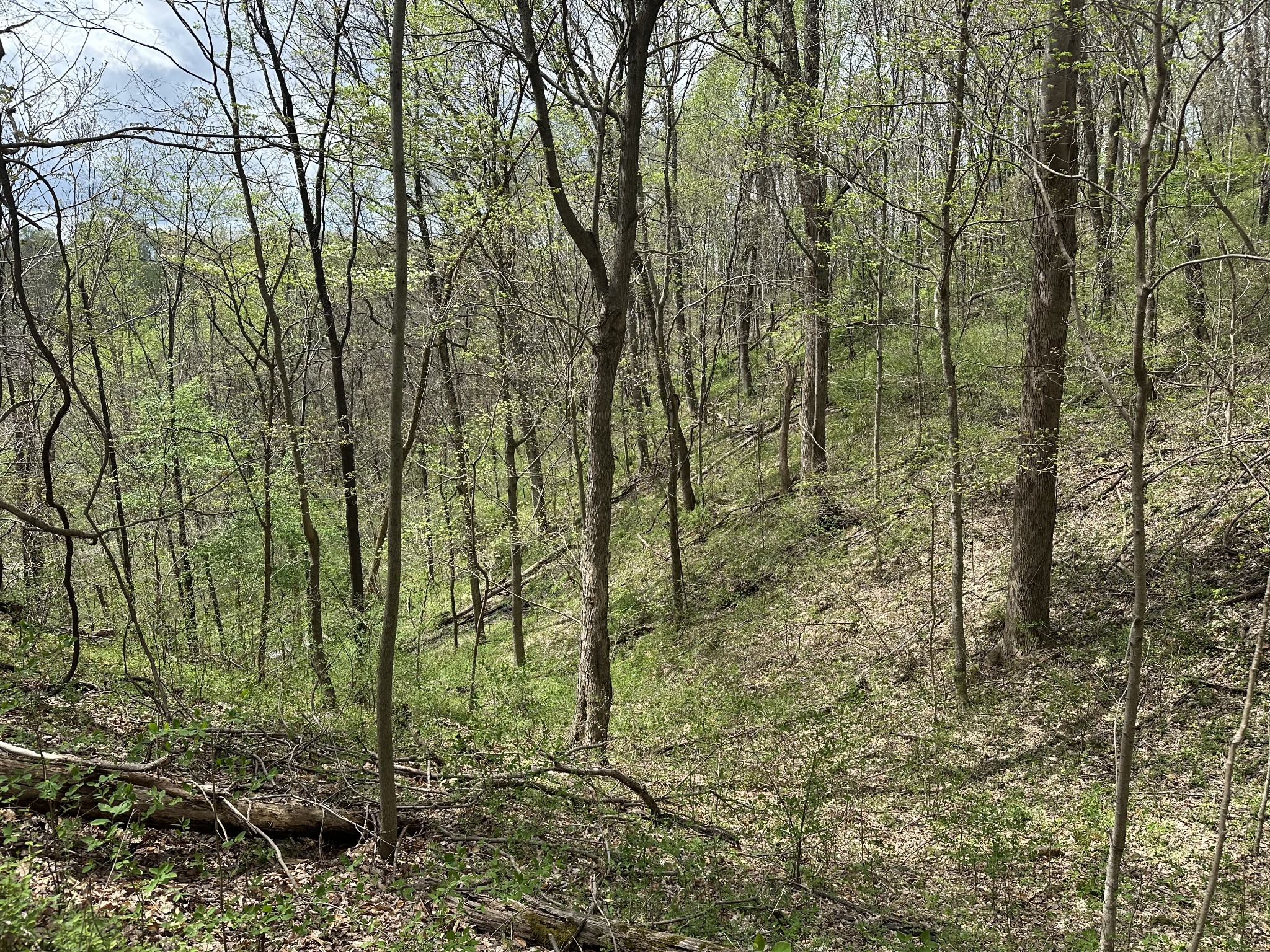 0 Maggart Road Elmwood TN 38560