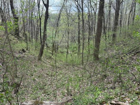 0 Maggart Road Elmwood TN 38560