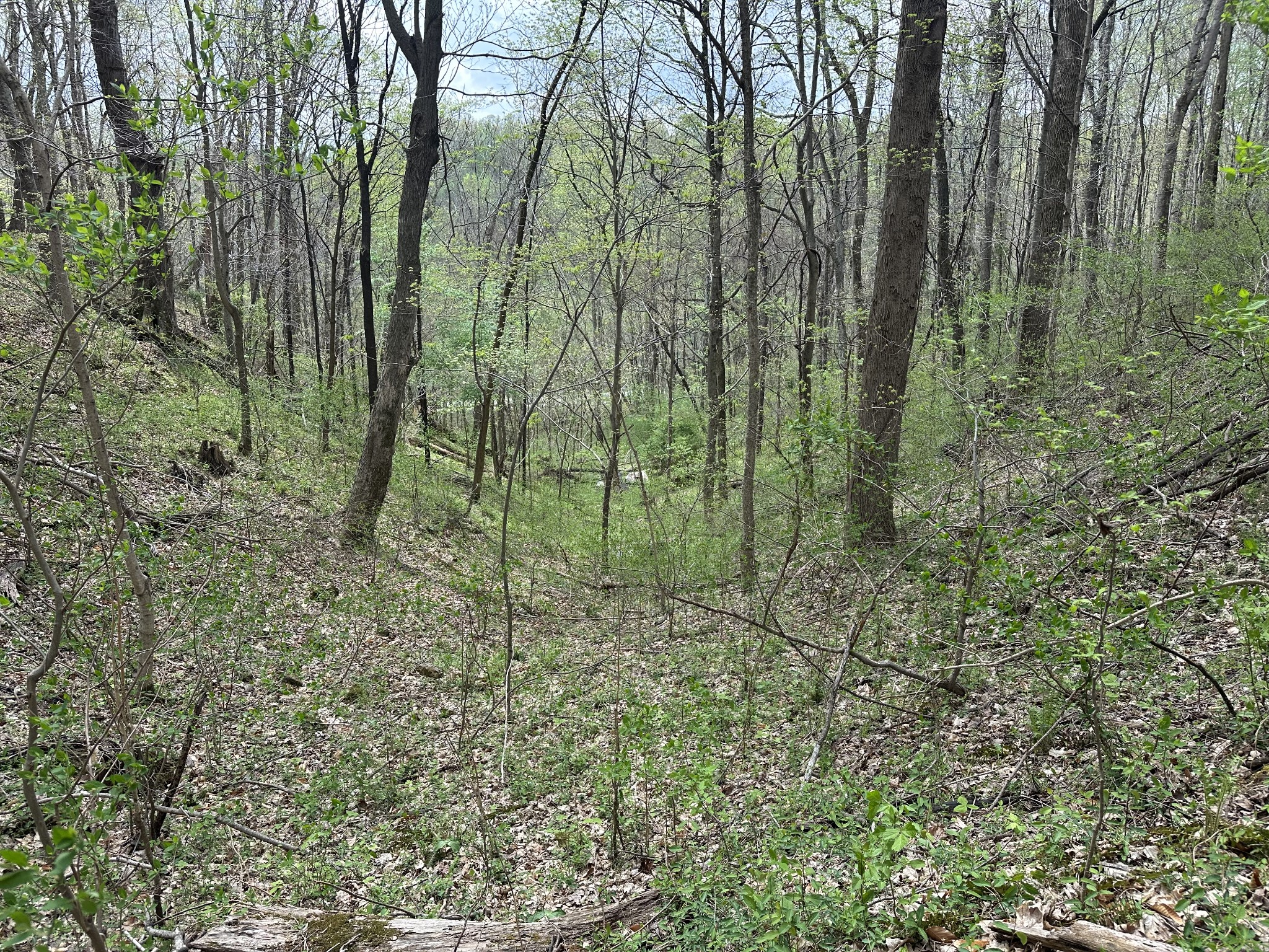0 Maggart Road Elmwood TN 38560
