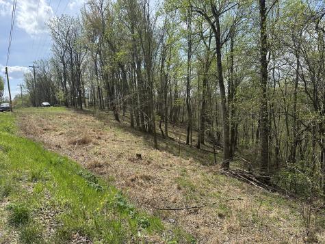 0 Maggart Road Elmwood TN 38560