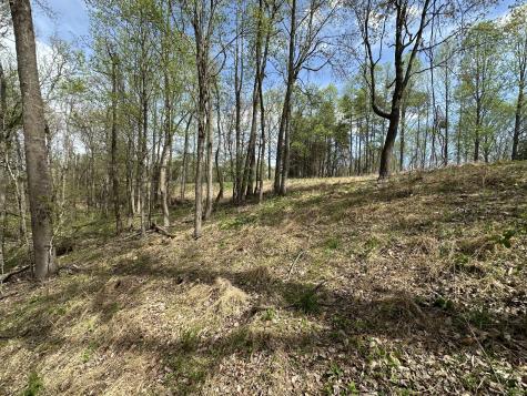 0 Maggart Road Elmwood TN 38560