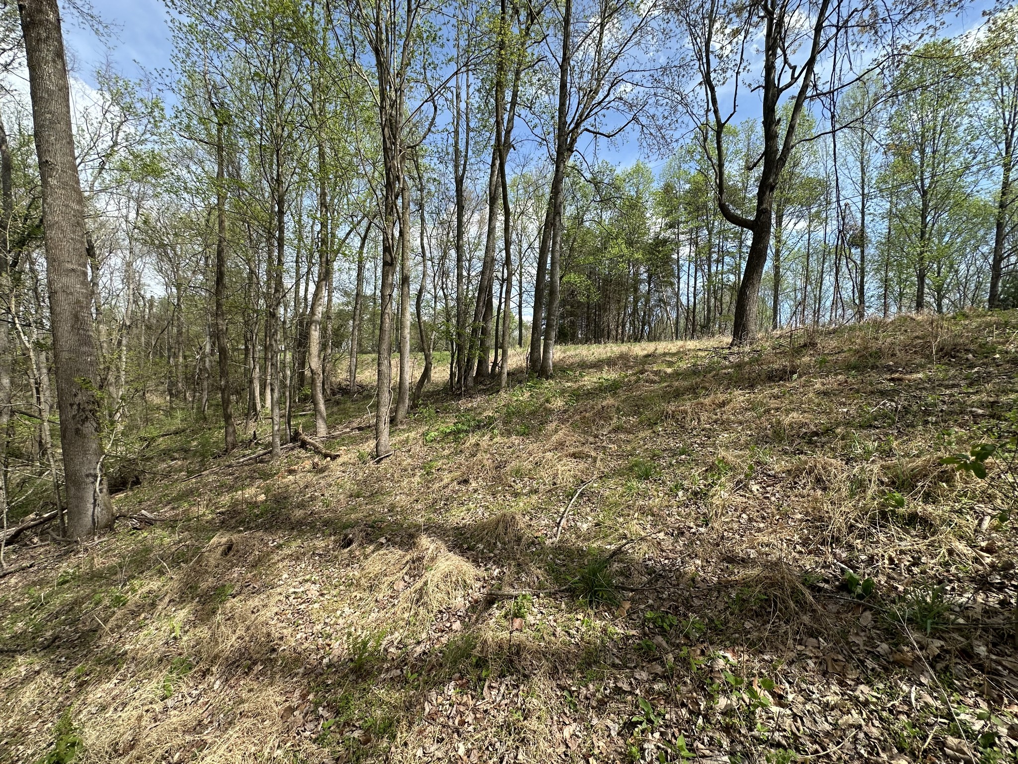 0 Maggart Road Elmwood TN 38560