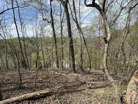 0 Maggart Road Elmwood TN 38560