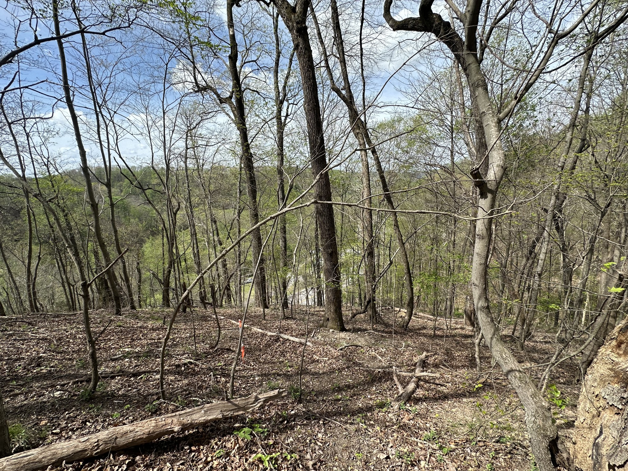 0 Maggart Road Elmwood TN 38560