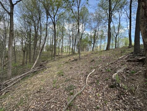 0 Maggart Road Elmwood TN 38560