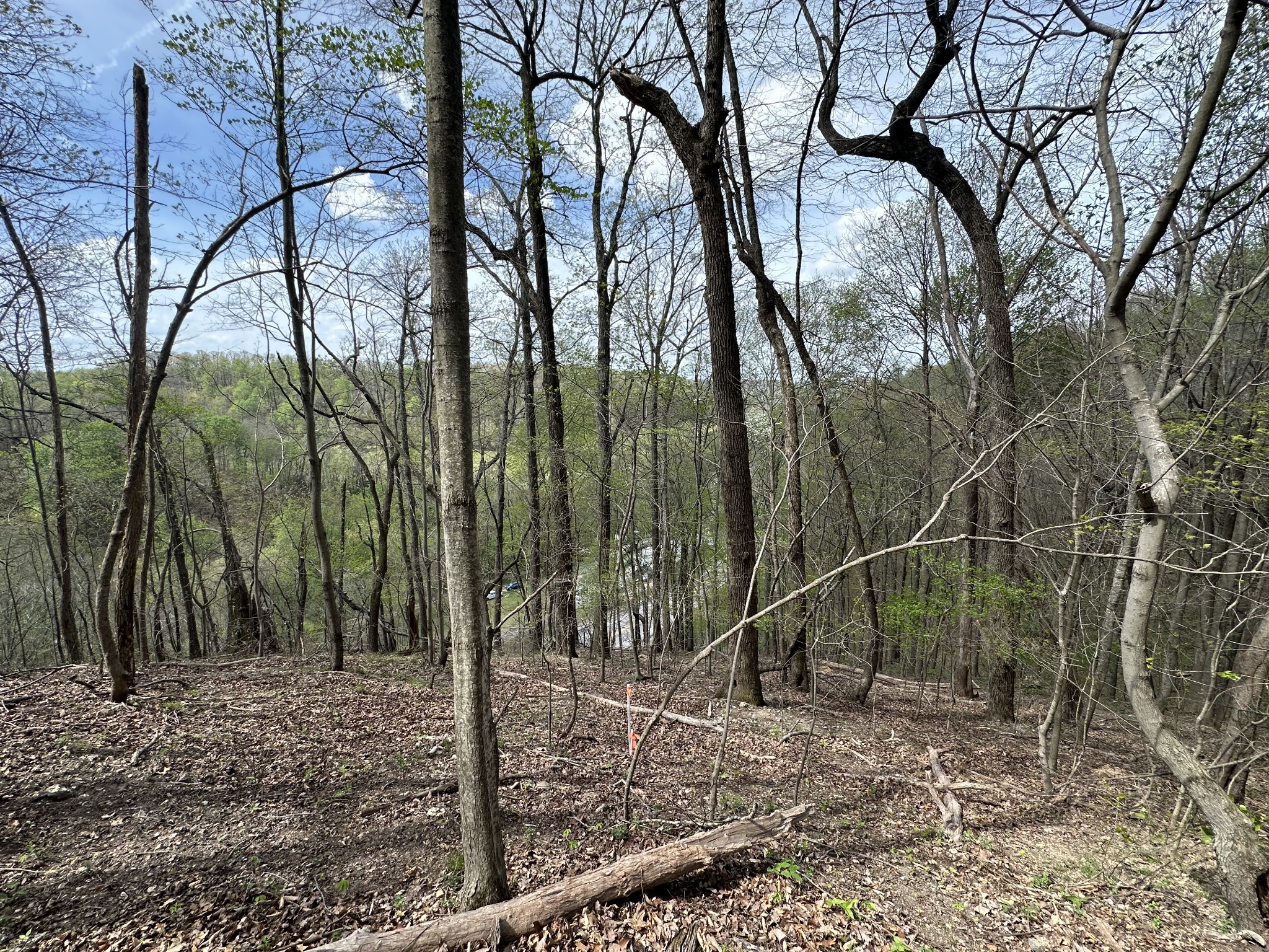 0 Maggart Road Elmwood TN 38560