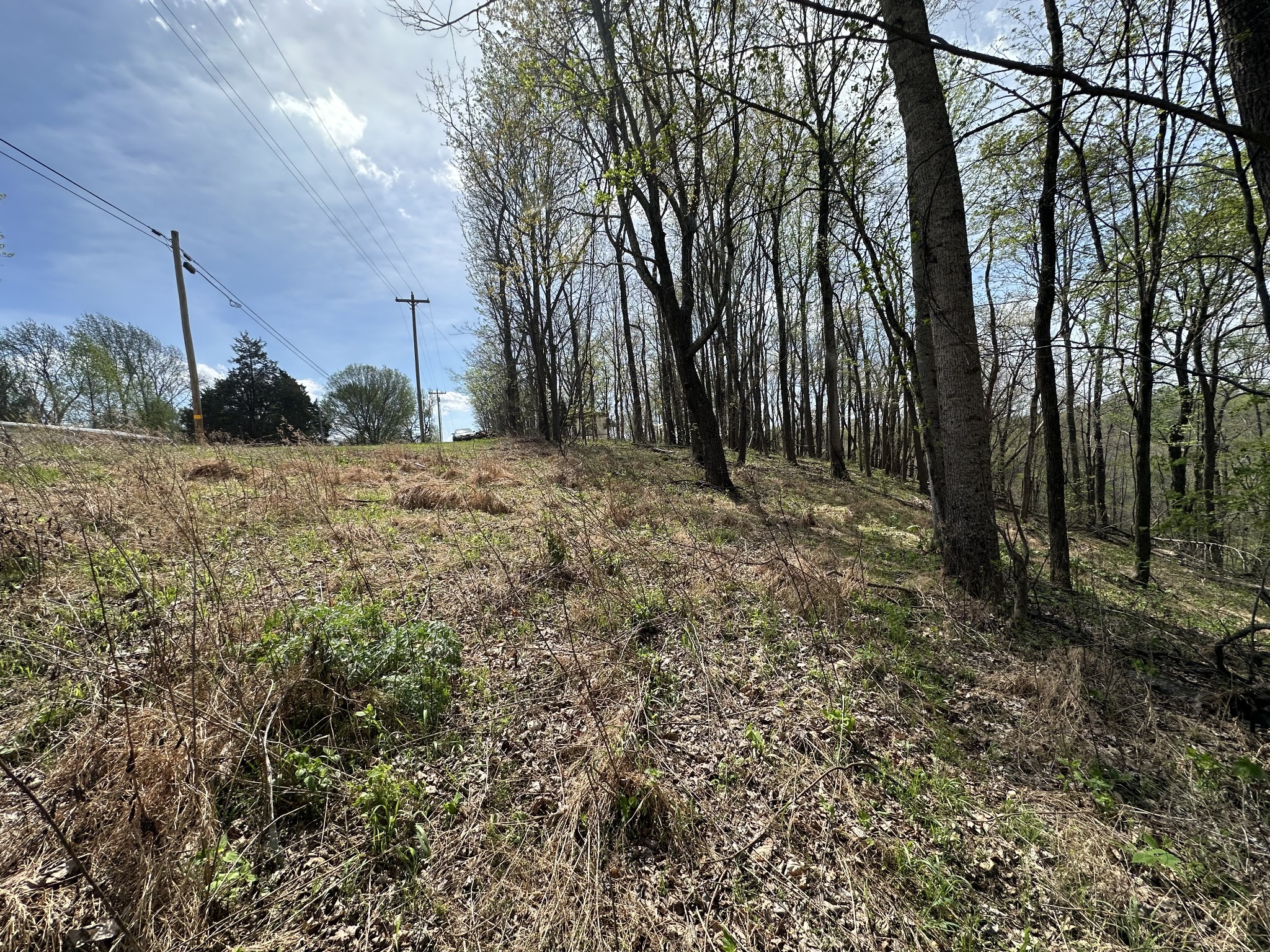 0 Maggart Road Elmwood TN 38560