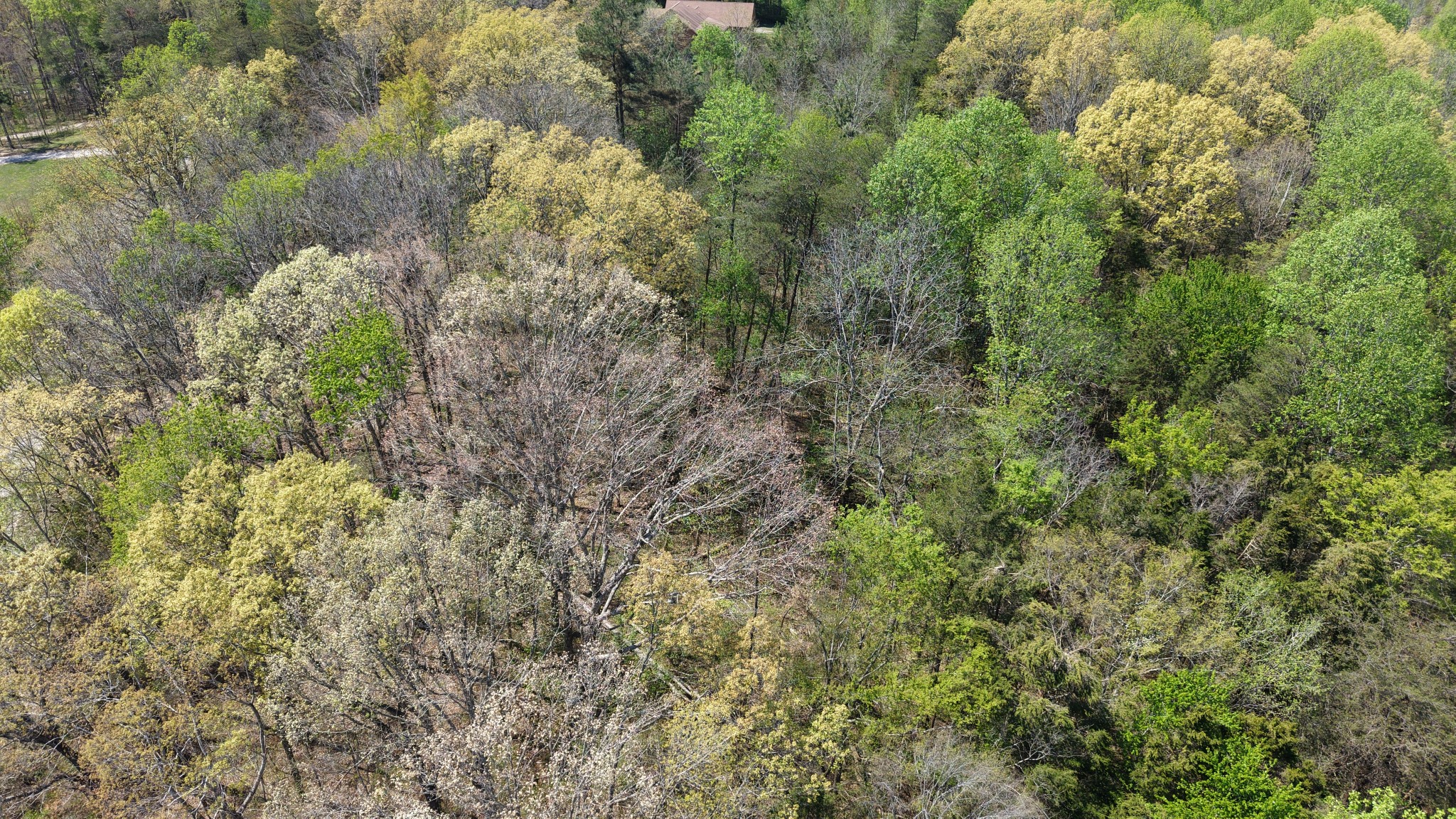 0 Old Highway 96 Burns TN 37029