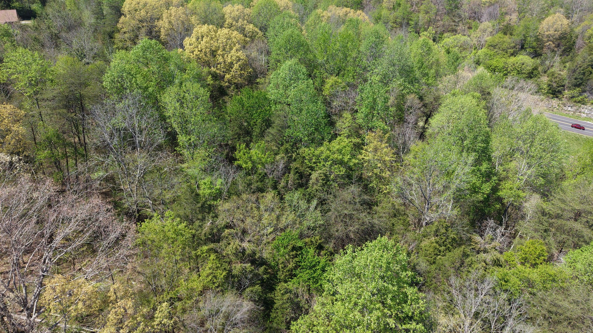 0 Old Highway 96 Burns TN 37029