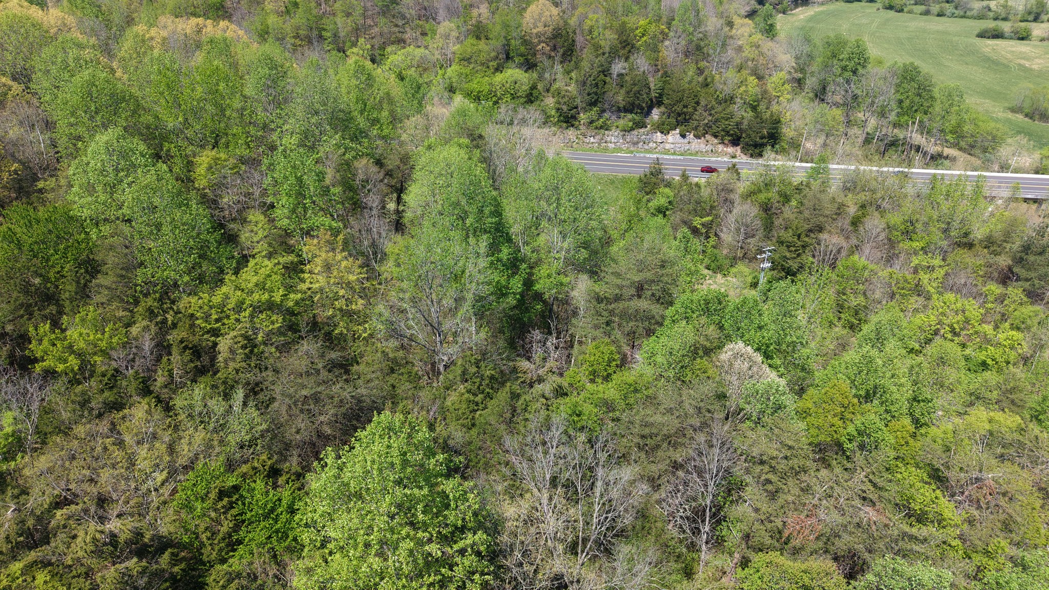 0 Old Highway 96 Burns TN 37029